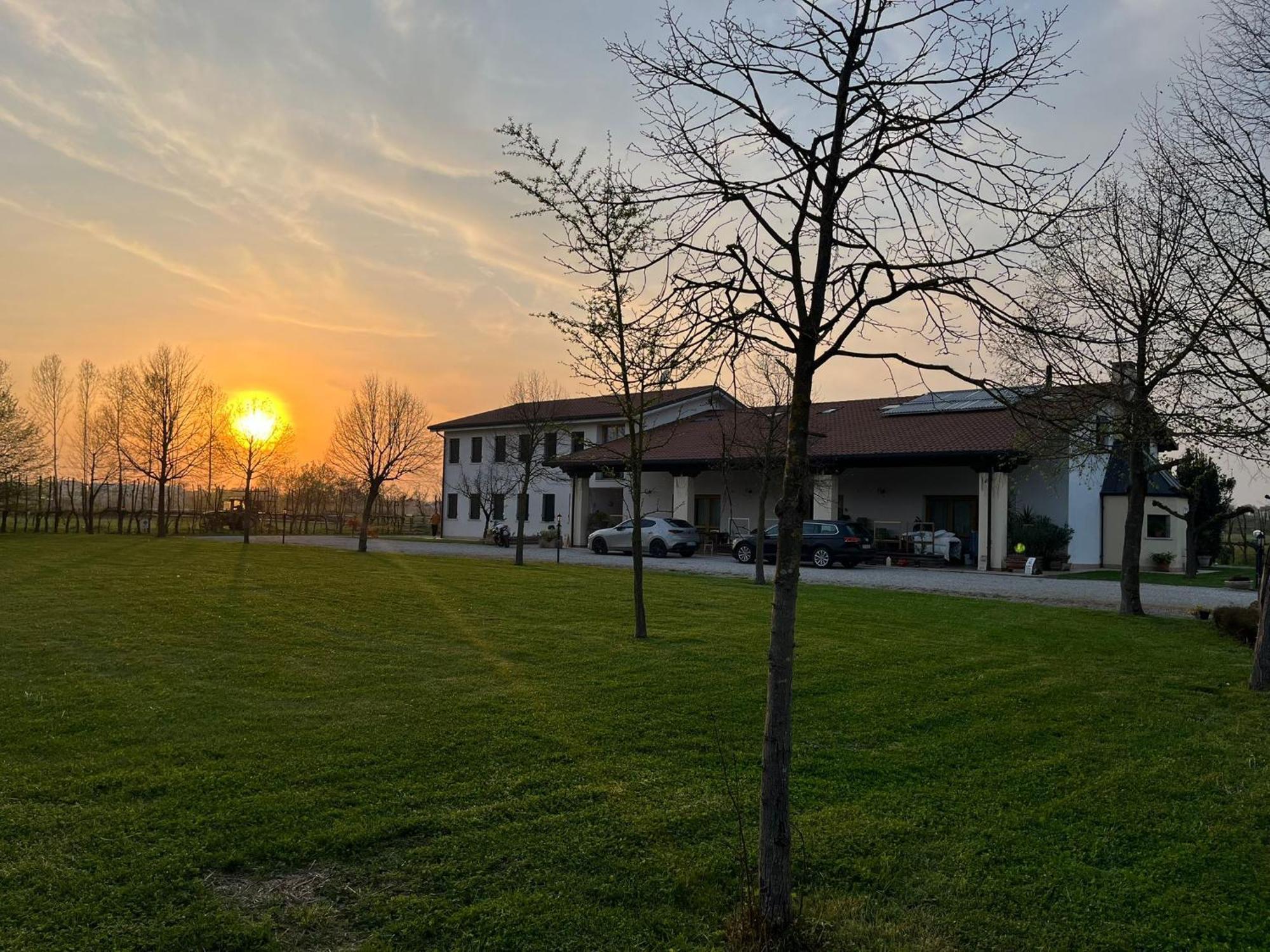 Agriturismo Al Botteniga Treviso Exterior photo