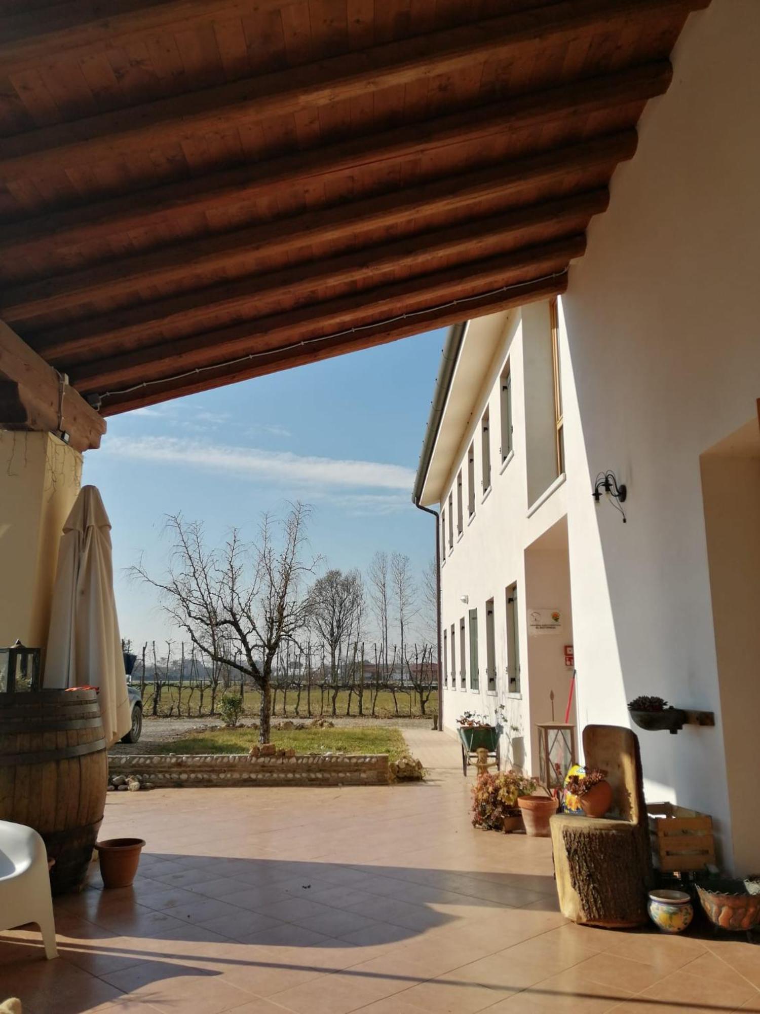 Agriturismo Al Botteniga Treviso Exterior photo