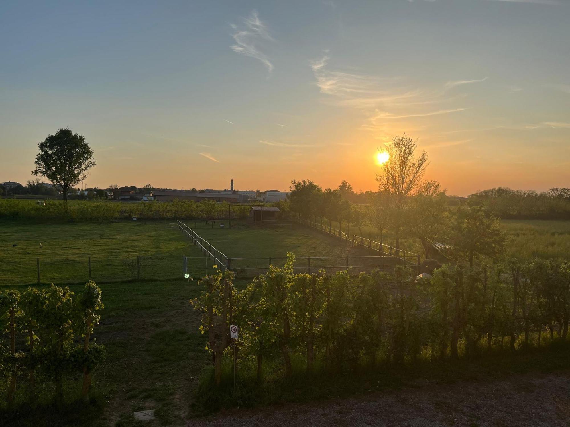 Agriturismo Al Botteniga Villa Treviso Exterior photo